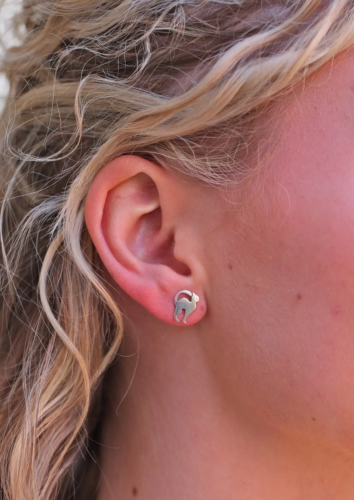Arched Cat Silver Studs