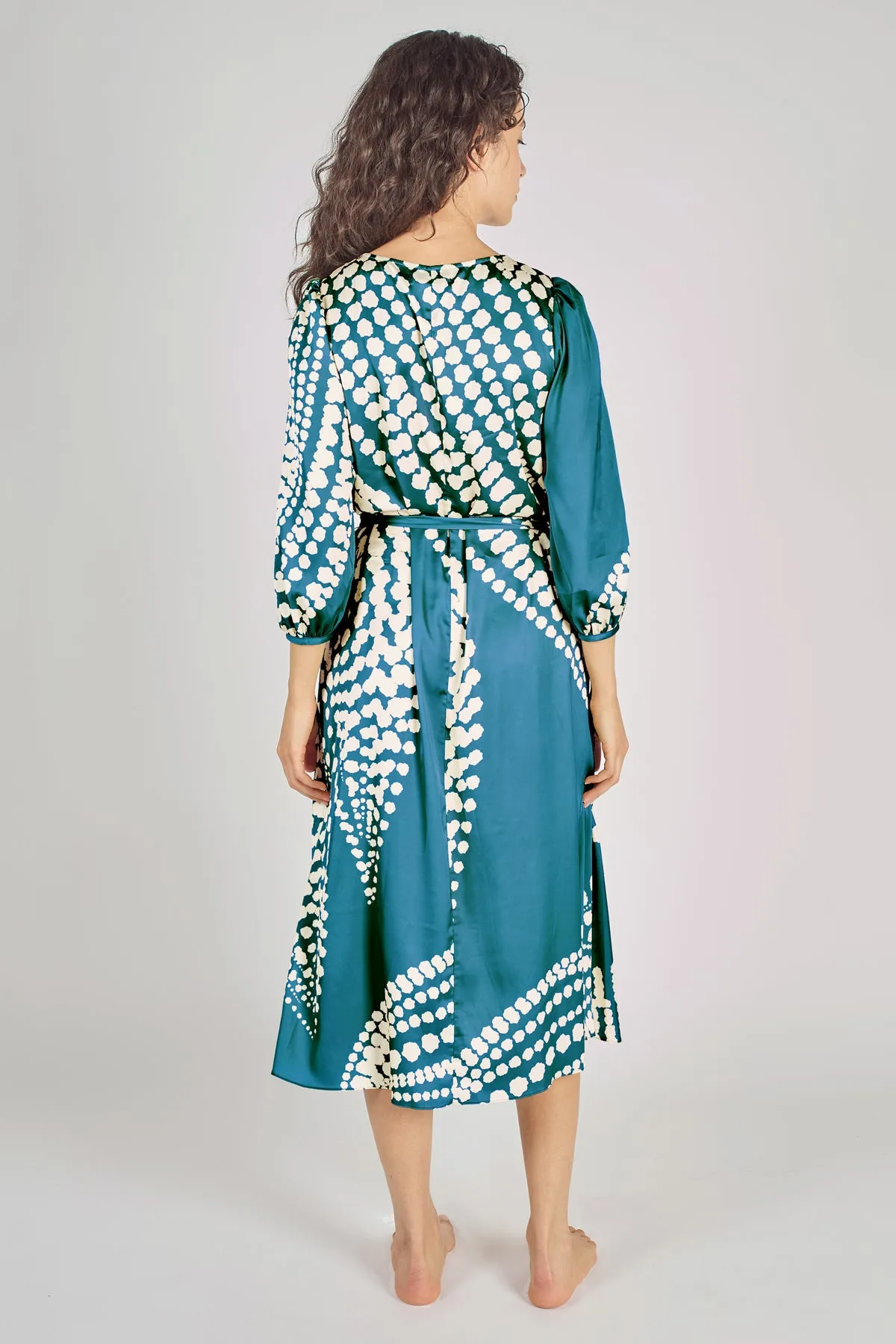 The Odes Revisited Willow Dress in Blue
