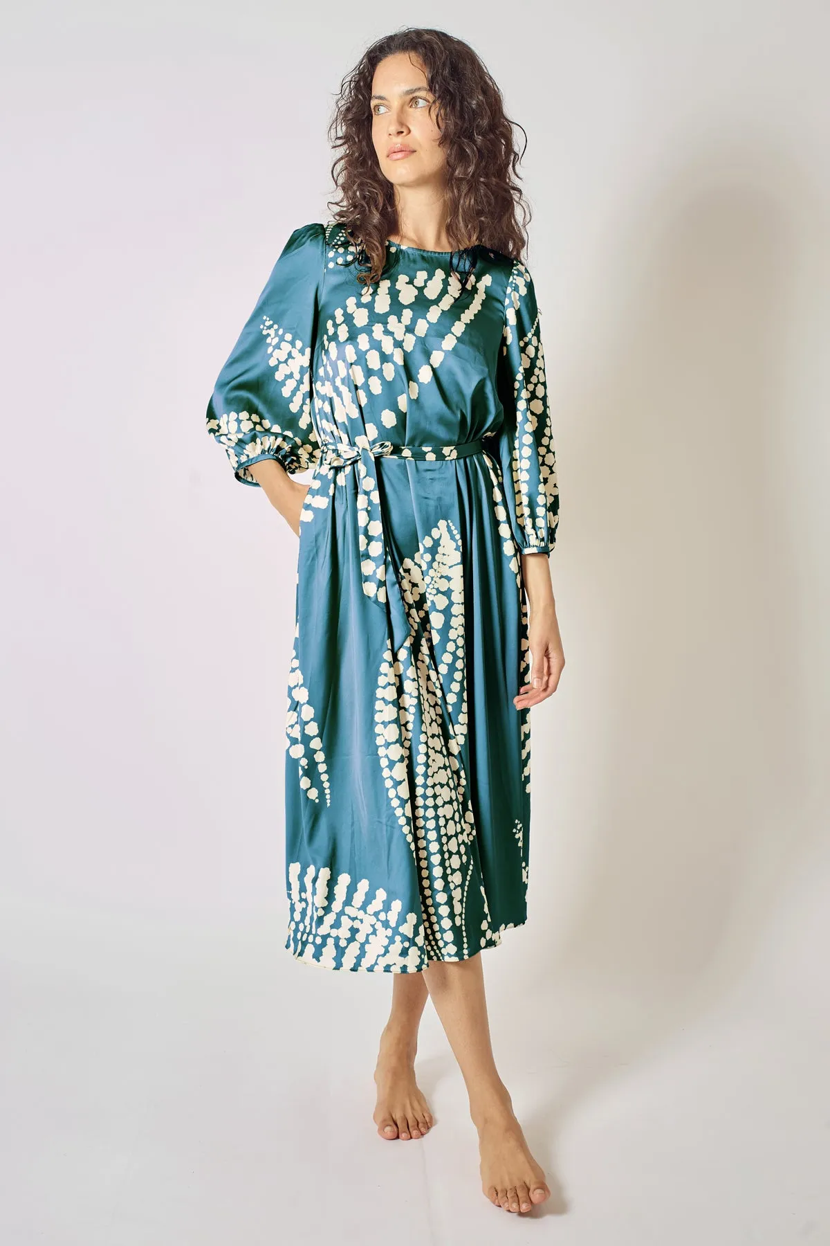 The Odes Revisited Willow Dress in Blue